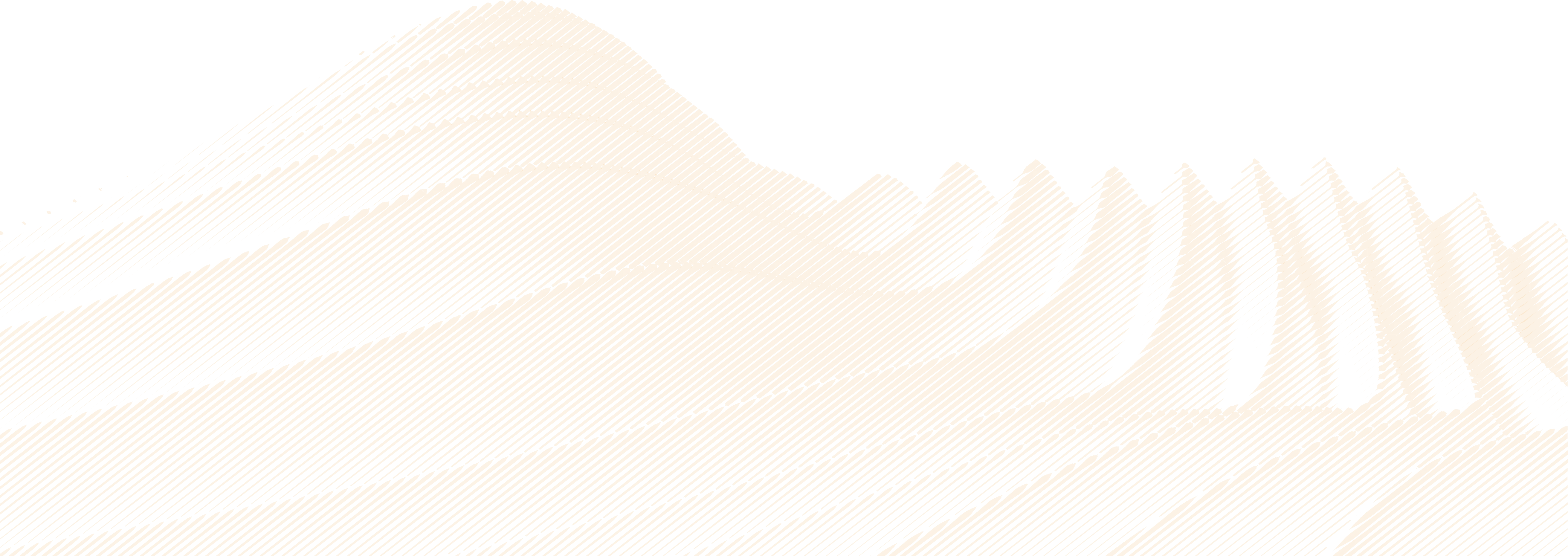 lines